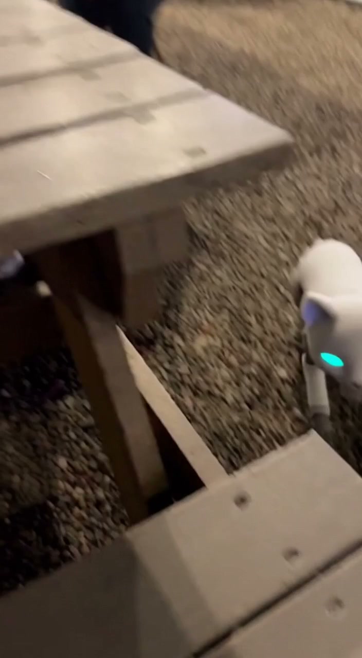 PX-3 at food truck park